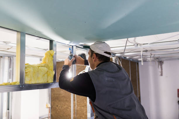 Best Residential Insulation in Levittown, PA